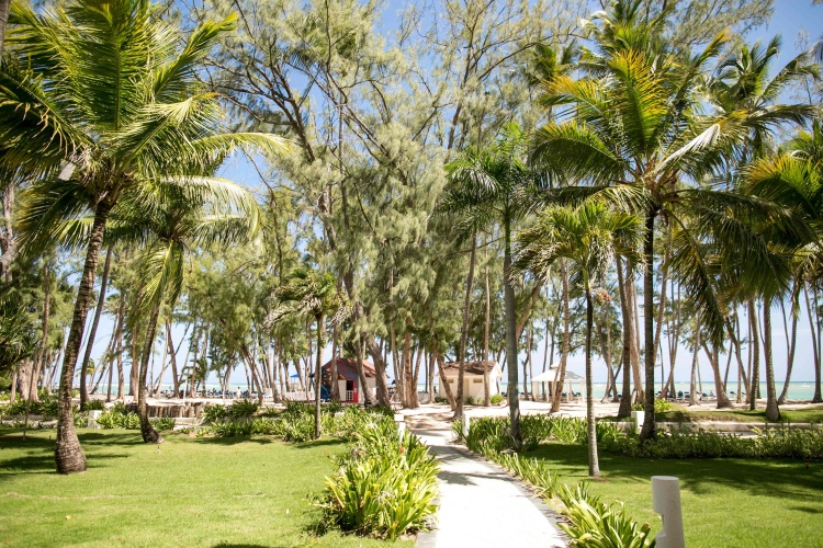 Vista Sol Punta Cana Beach Resort & Spa photo 34