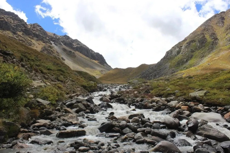 Samaa Resorts Chitkul Heights