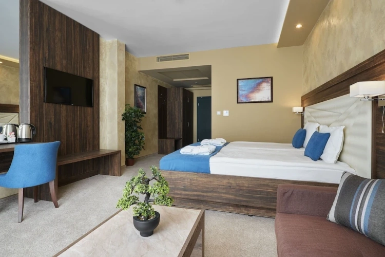 Deluxe Double room with mountain view