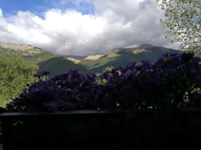 Tenuta Castelli