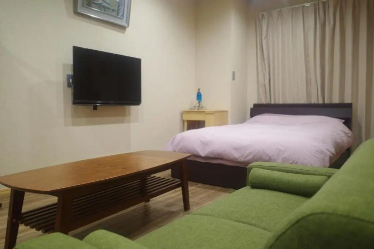 Superior Apartment