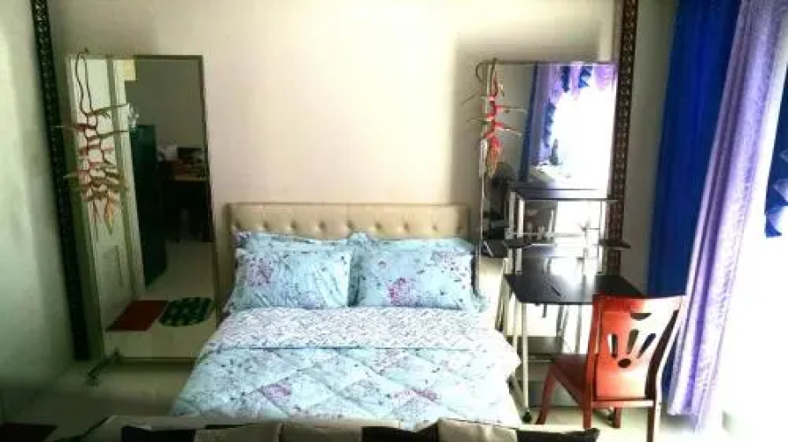 3N Palm Tree Villas
