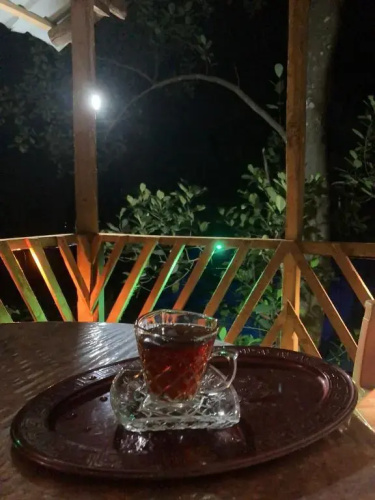 Peafowl Tree Lodge