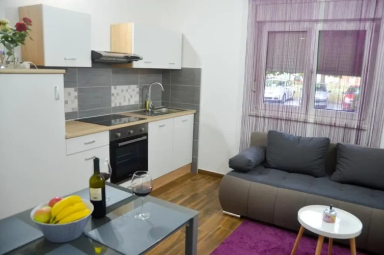 1 Bedroom Apartment