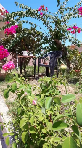 Yucca Studio, beautiful apartment with garden