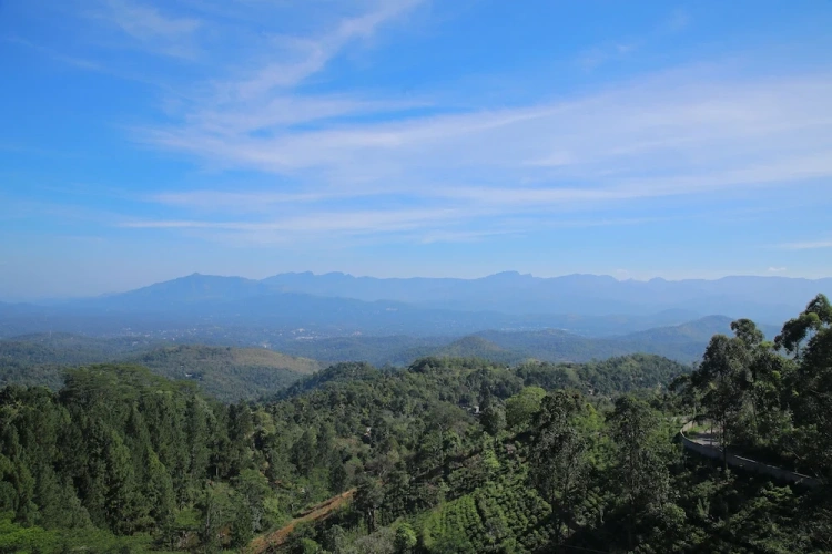 Presidential Double Suite with mountain view