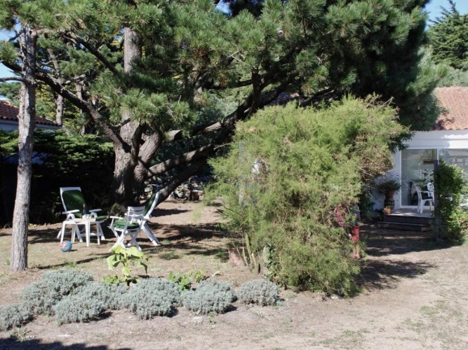 Cottage