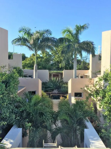 4 Casitas