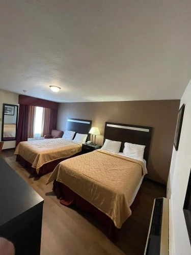 Standard Double Basement room