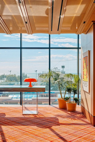 The Coolest Hotel