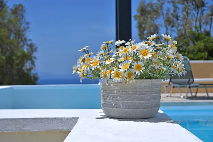 All Year in Chania