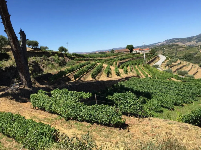 Quinta Dos Espinheiros