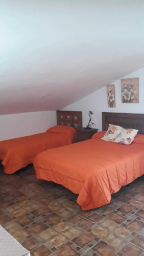 Casas Elena-Conil