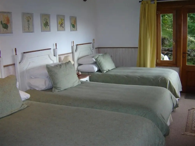 Cabanas Monte Verde