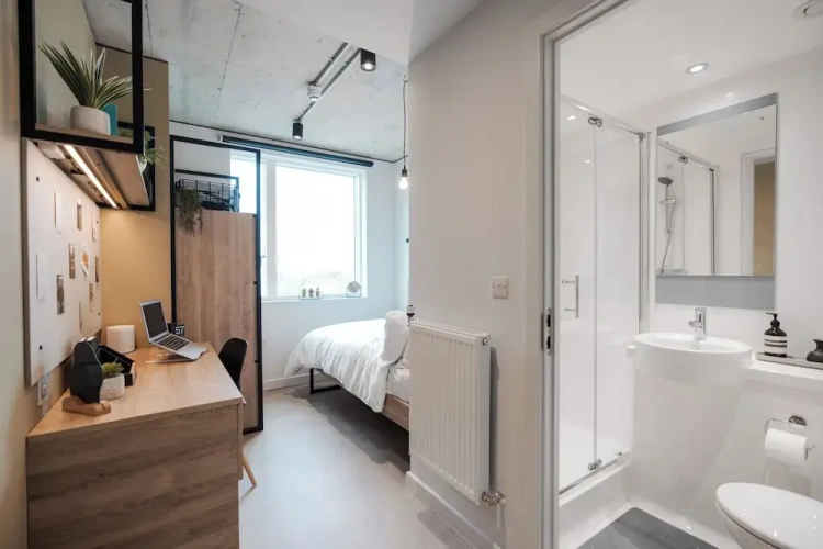 Standard Single room
