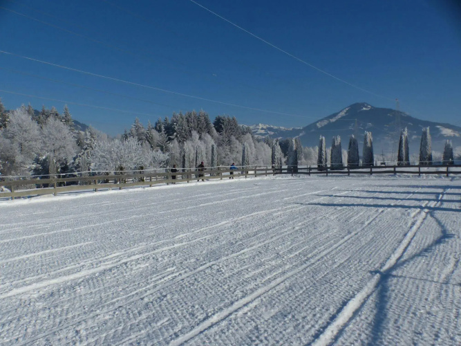 Land-Hotel Gut Edelweiss