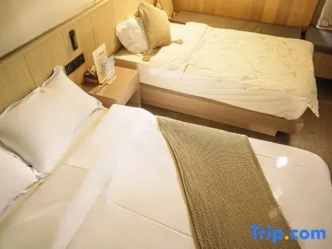 Standard Twin room with garden view