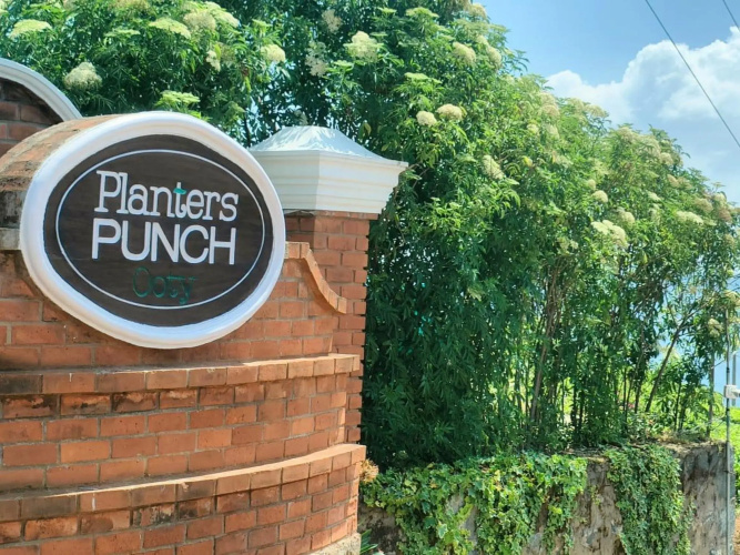 Planters Punch