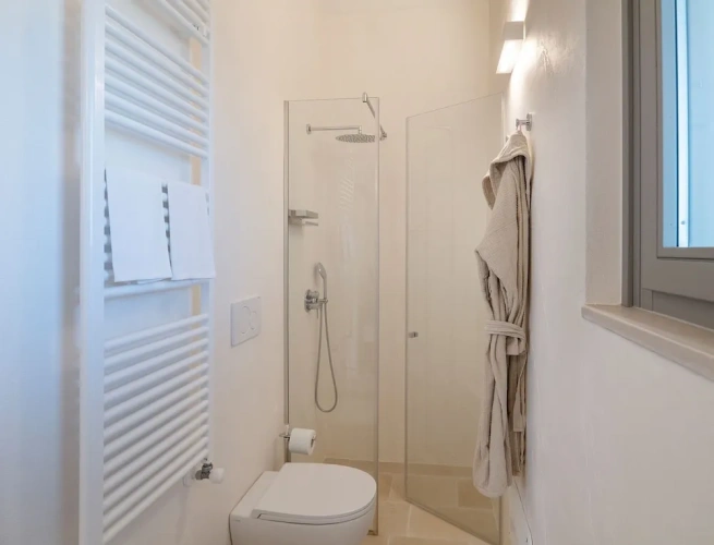 Deluxe Double room with garden view