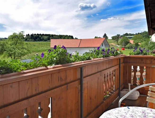 1 Bedroom Classic Apartment with balcony