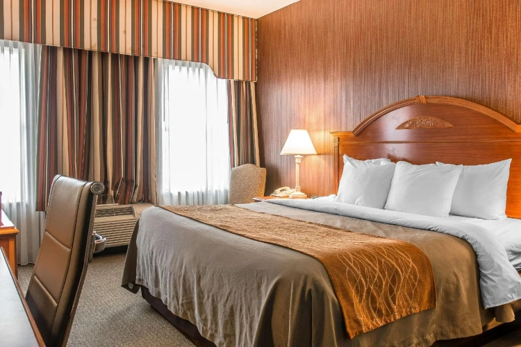 Business Double room