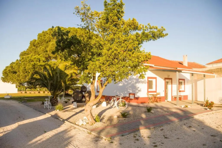 Casa das Pipas #3