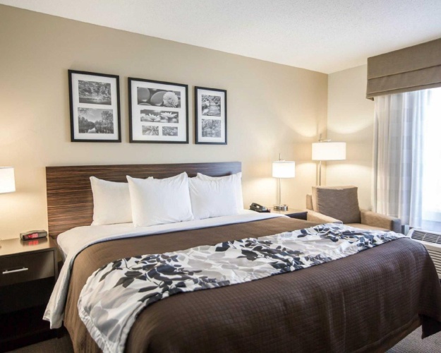 Standard room