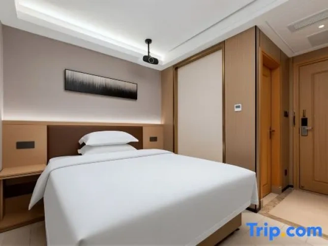 Comfort Single room