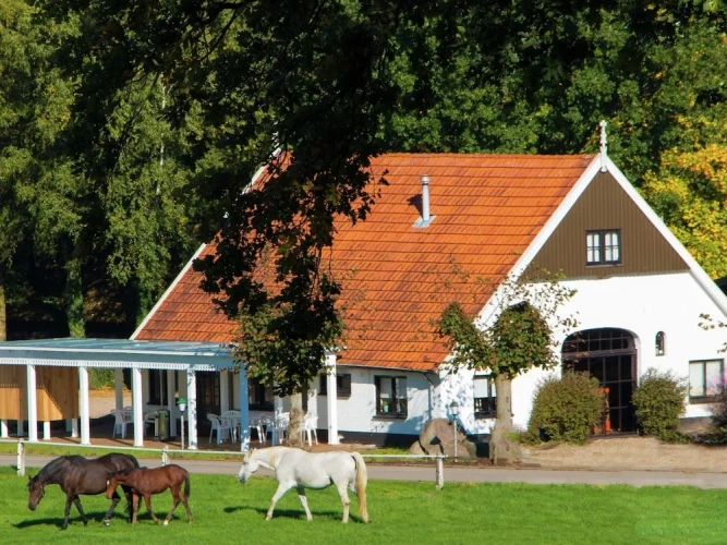 Chalet