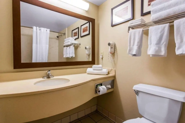 Standard Double Suite
