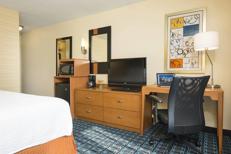 1 Bedroom Suite