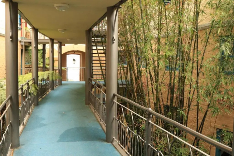 29 The Village