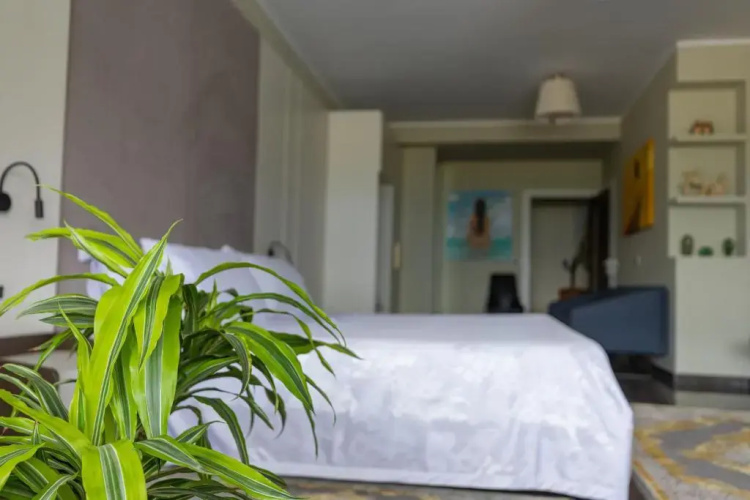 Hotel Pirro