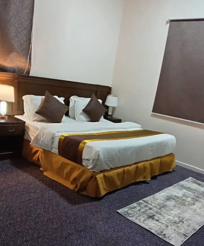 1 Bedroom Apartment with city view