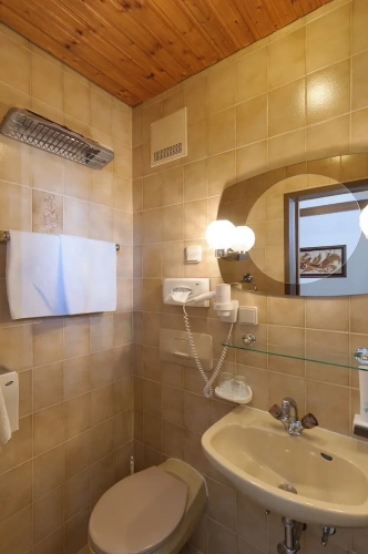 Standard Family Basement room