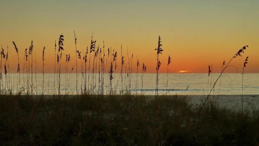 Sunset Chateau 511