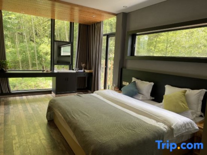 Standard Double room with courtyard view