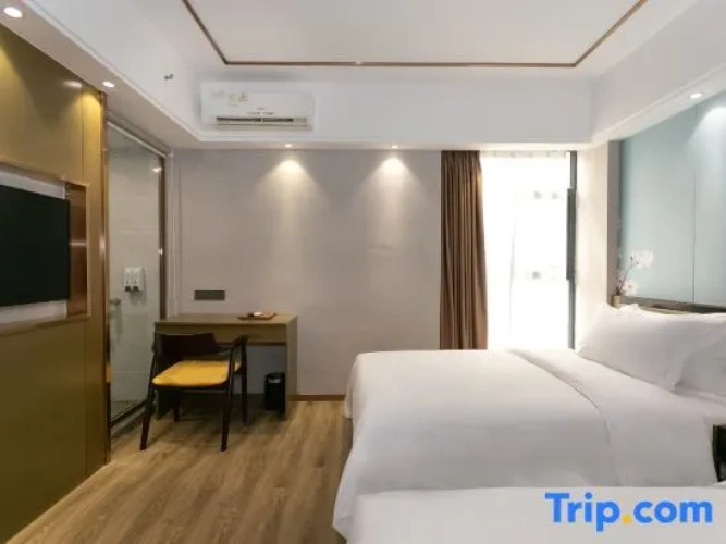 Deluxe Twin room with city view