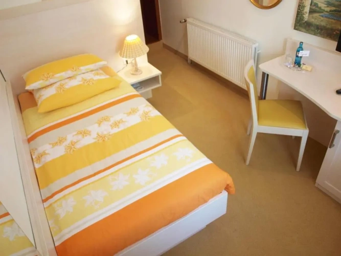 Standard Single room with view