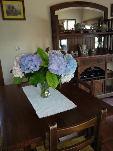 Comfort Double Cottage