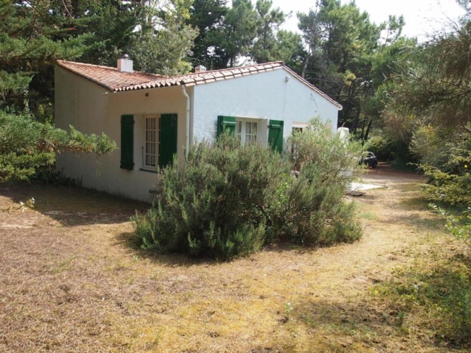 Cottage