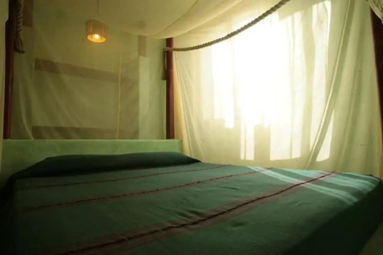 Comfort Suite
