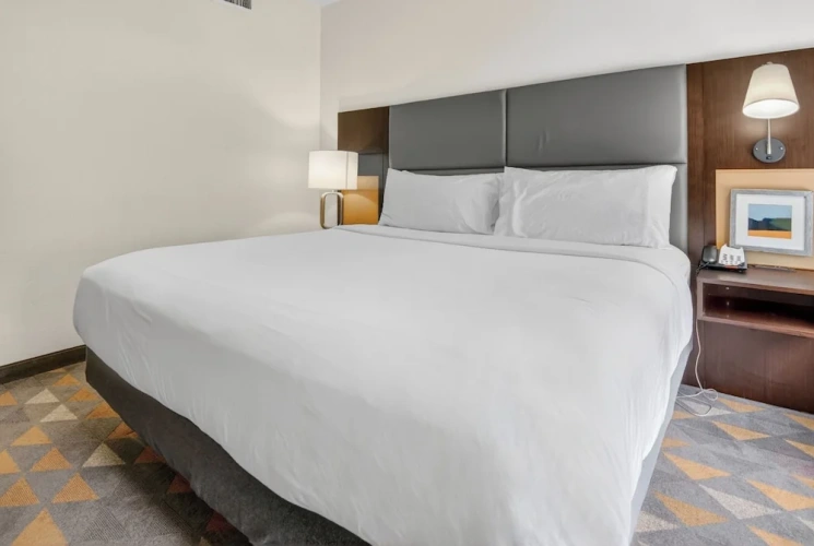 1 Bedroom Suite
