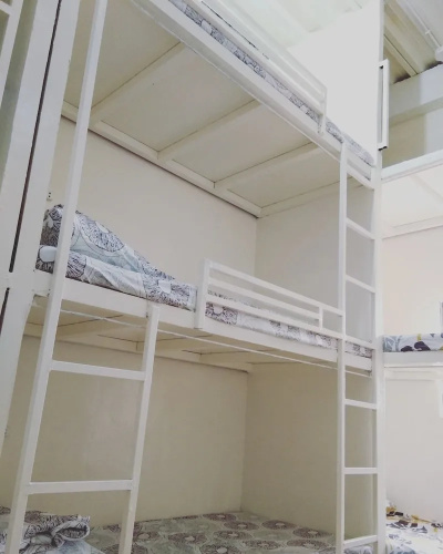 Bee-Force Backpackers - Hostel