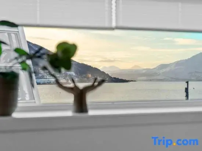 Scandinavian Bliss By Paramount