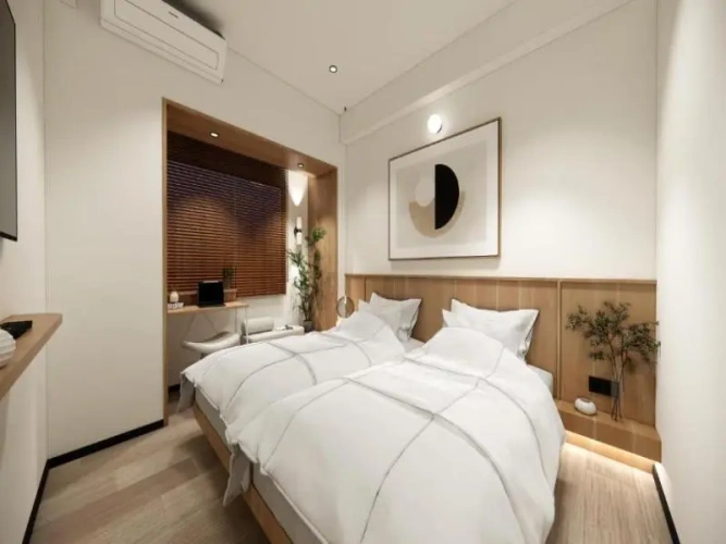 Deluxe Twin room