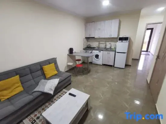 Solo Apartments
