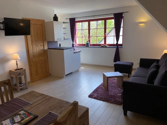 Deluxe Apartment
