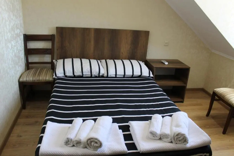 Hotel Lion