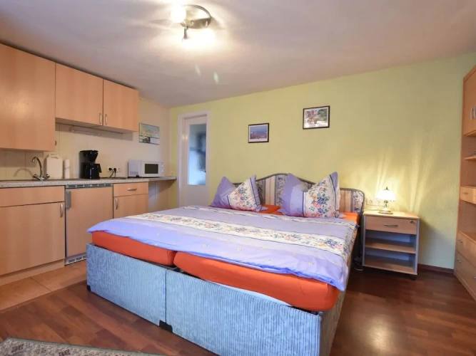 1 Bedroom Classic Apartment